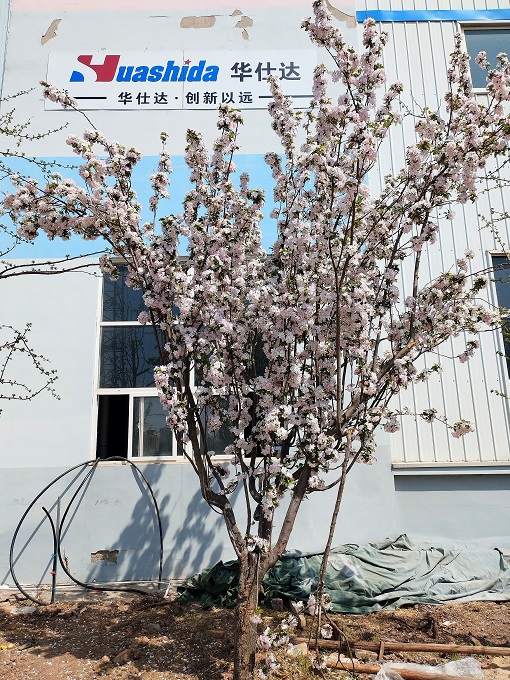 微信图片_20250417141929.jpg