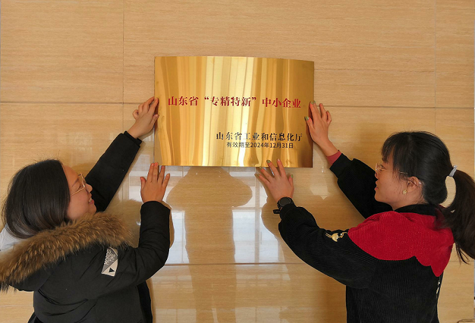 喜报！华仕达“专精特新”获政府奖励60万元